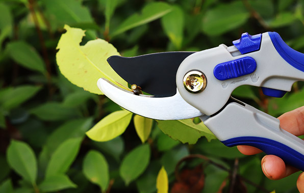 Pruning shears
