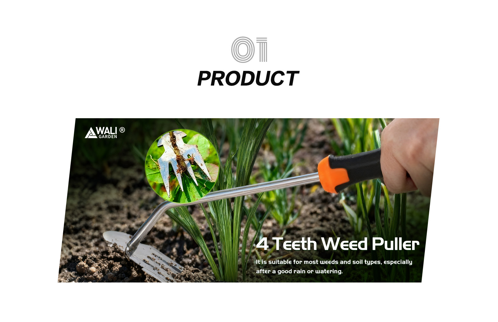 四齿除草器详情页_02.jpg